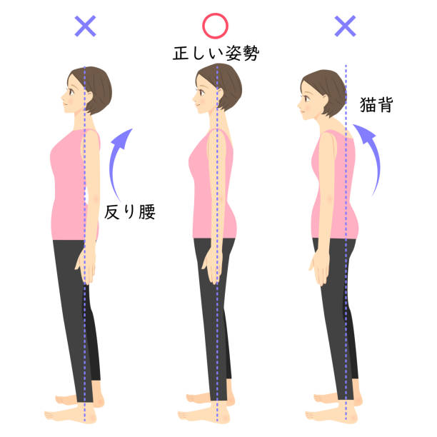 丁寧なカウンセリングで自分でも気づかなかった体のクセや改善点を的確に指摘