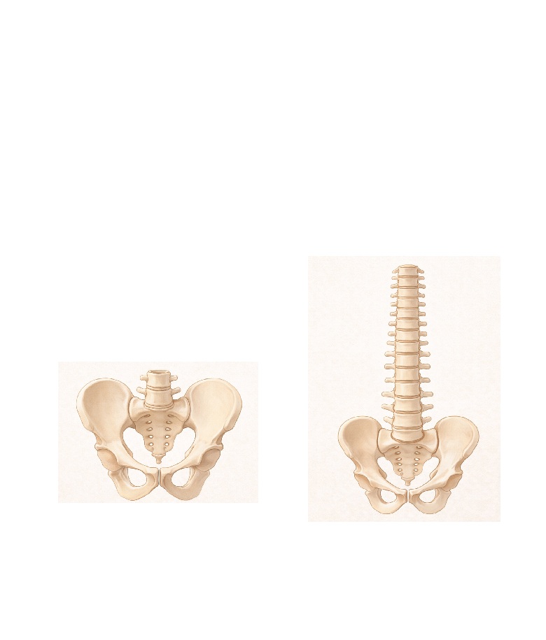 原因が分からない腰痛でお悩みの方へ　40代女性・自営業